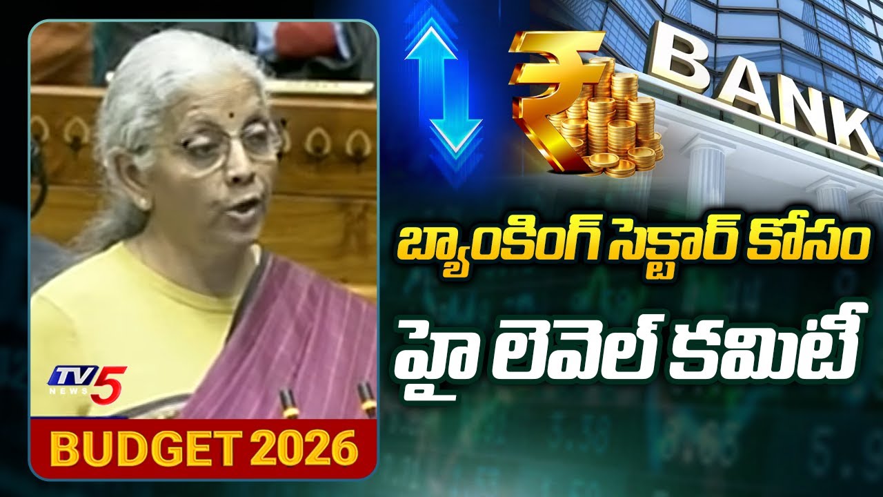 Budget 2026 : FM Nirmala Sitharaman Prposes high-level committee on banking for Viksit Bharat