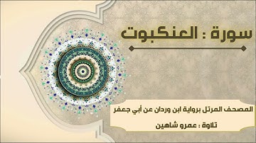 سورة العنكبوت بقراءة أبي جعفر|| عمرو شاهين