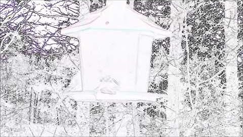 Abstract Audio Visual Catnip April 2016