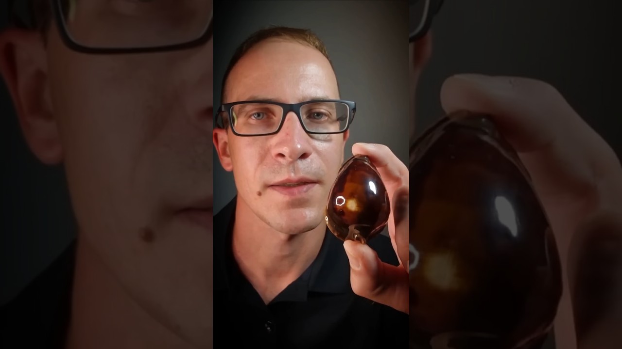 Zoila rosselli - морская раковина Зоила Росселля