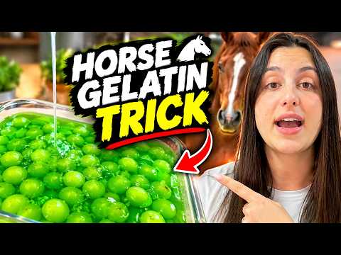 Horse Gelatin Powder Recipe: How to Prepare It and What Men Should Know