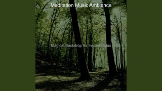 Magical Backdrops for Instant Relax