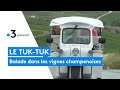 Tuktuk  visite insolite du vignoble champenois