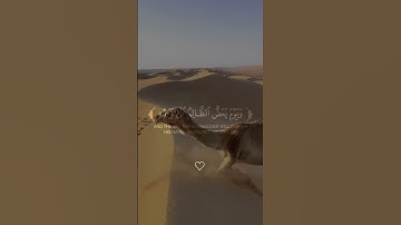 القارئ محمد اللحيدان الملك يومئذ الحق للرحمن بصوت