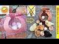 Hatch eggs without incubator 100% real video ||Egg incubator without electricity ||Sunlight hatching