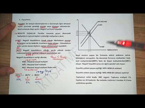 Video: Ekonomideki dışsallıklar ve bunların düzenlenmesi