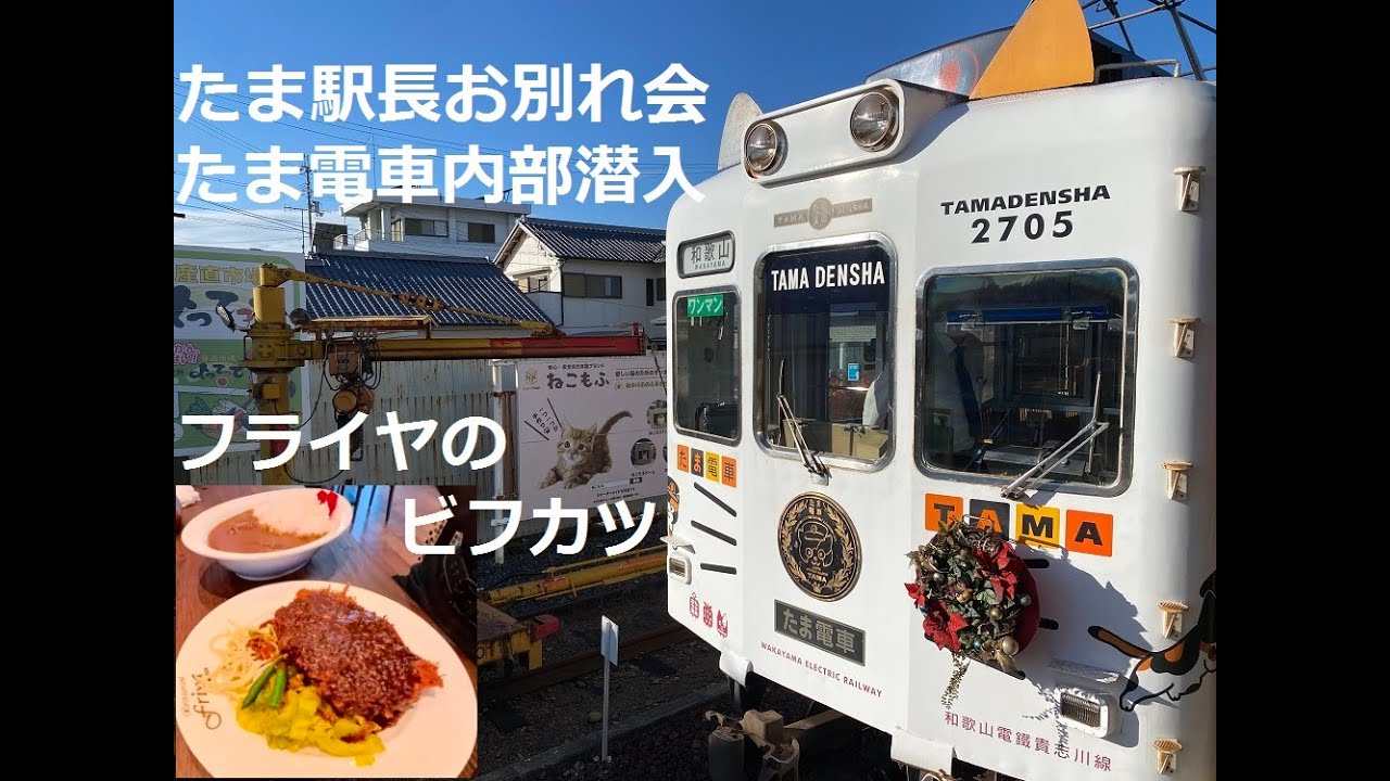 GSX-8RとZX-4Rで行く！和歌山散歩 フライヤのビフカツ にたま駅長お