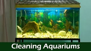 If you are a aquarium hobbyist then you always come across the stage where you need to clean your aquarium. Every aquarium 