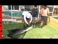 CATCHING MASSIVE FISH in BACKYARD POND! **NEW PB Record!**