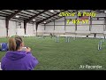 AKC N-JWW CLEESE 3-9-25