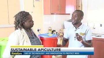 Blending sustainable beekeeping with AI technology