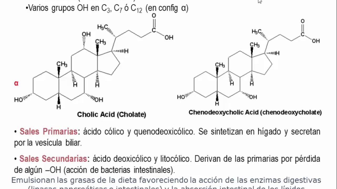 Tema 4 1 Clasificacion Estructura Y Propiedades De Los Lipidos