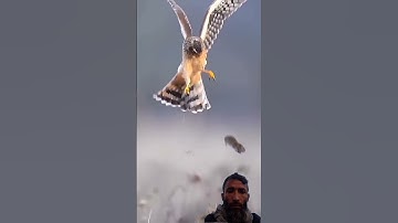 Surah al ikhlaas #egzonibrahimi #سورة_الإخلاص #ikhlas #quran #nature #islamicprayer