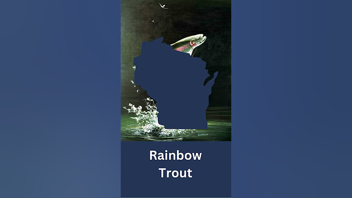 How Big is the Wisconsin State Record Rainbow Trout?