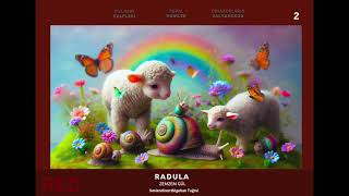 Red Radula Şiir Zemzem Gül