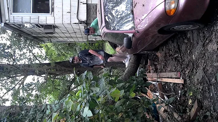 There's a tree in my car