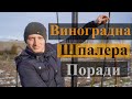 Двохплощинна шпалера для винограду. Металева шпалера для столового винограду. Як зробити?