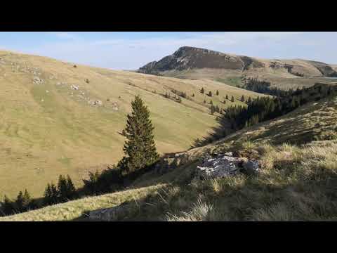 Popas Sambata Home Facebook