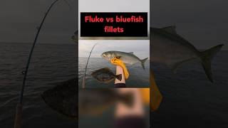 Fluke vs Bluefish — Fillet Comparison! 🐟🔪
