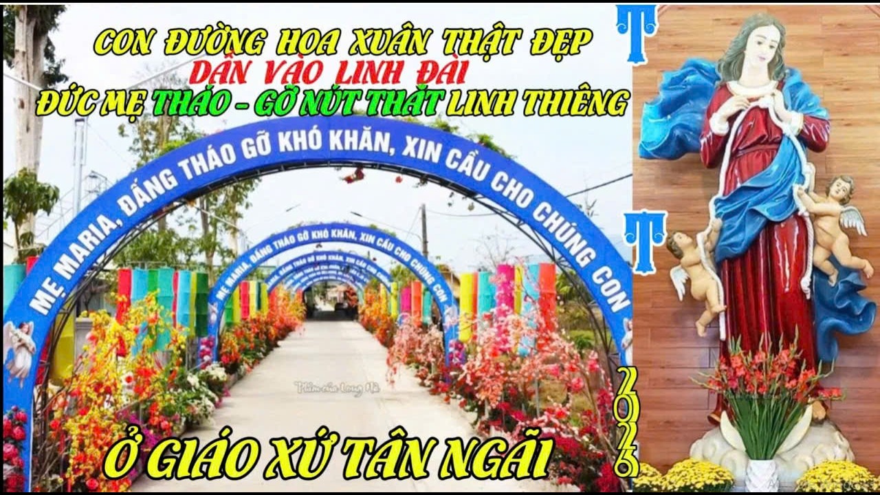 QUÁ ĐẸP ! CON ĐƯỜNG HOA XUÂN DẪN VÀO LINH ĐÀI ĐỨC MẸ THÁO- GỠ NÚT THẮT LINH THIÊNG Ở GX.TÂN NGÃI#741