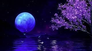 Sleep Hypnosis Therapy (No Ads) - Reduces Anxiety &amp; Mental Processes - Restores Body and Mind