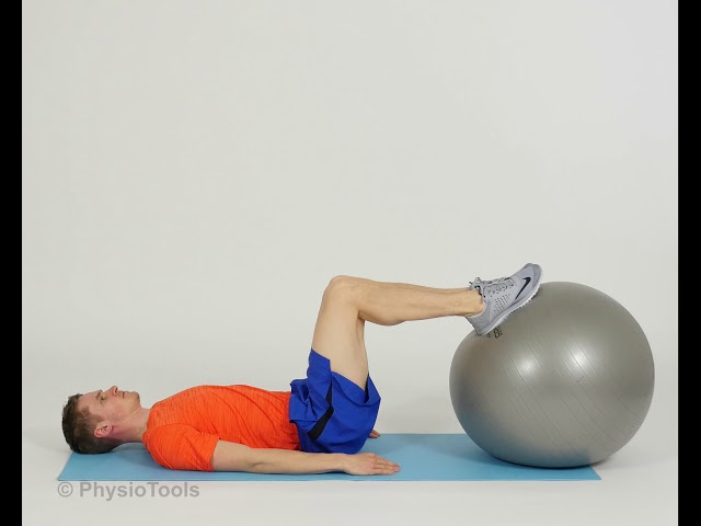 How to Do a Bridge Exercise With an Exercise Ball (with Pictures)