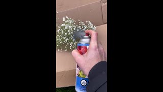 Design Master Floral Spray