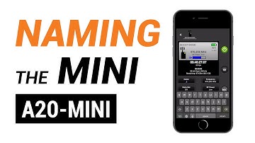 Naming the Mini (A20-Mini)