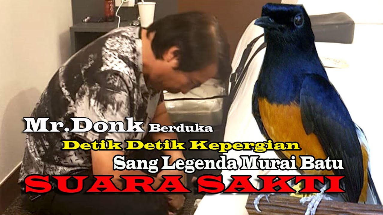 Mr.Donk Berduka | Detik Detik Meninggalnya Sang Legenda Murai Batu SUARA SAKTI