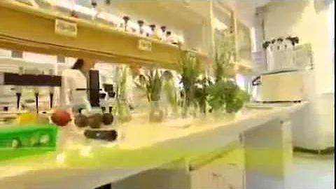 Как делают продукцию Орифлэйм и из чего