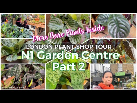 Video: Nursery Of Ornamental Plants 