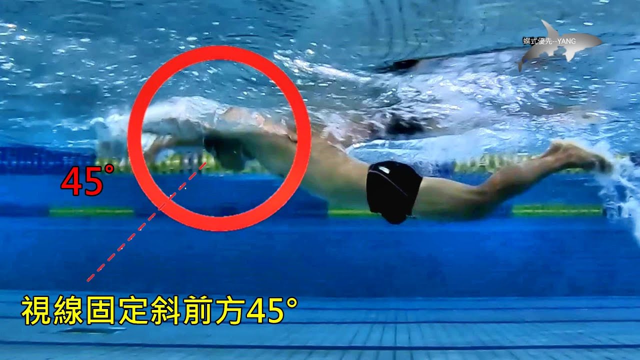 105.一招進化蝶泳選手級【壓胸啟動】/ 蝶泳問題與矯正