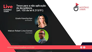 O que diz a lei 8.213 de 1991?