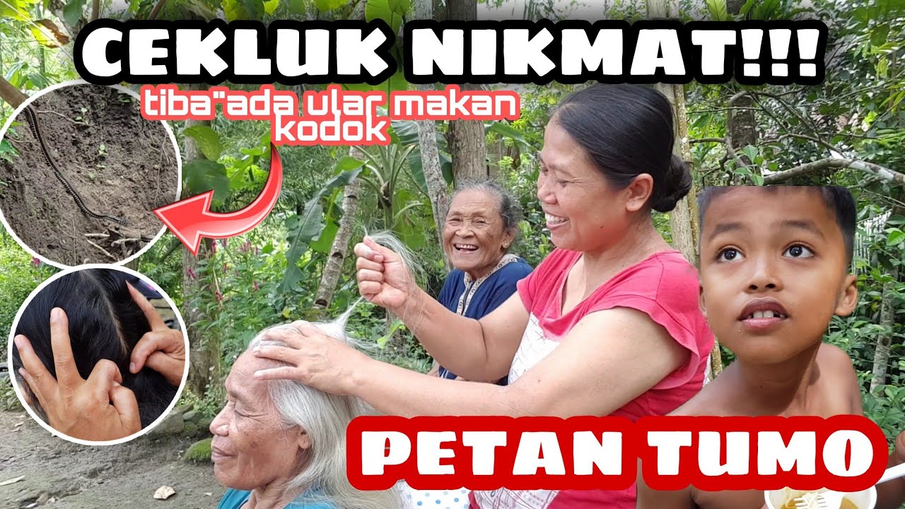 PETAN TUMO,CEKLUK RAMBUT#petan #carikutu #petantumo #viral #ular #kehidupandidesa #iburumahtangga