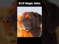 I tried out MAGIC JOHN.. #magicjohn #iphone #shorts