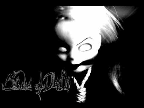 Path Of The Warrior Video