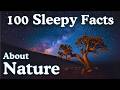 Discover 100 Relaxing Nature Facts to Help You Sleep 🌙