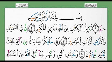 سورة الجاثية-شيخ الزين محمد أحمد أستمع وأقرأ وحاول ان تحفظ