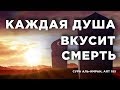 8 хадисов о смерти в Исламе