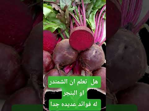 اه يا شمندر يا بنجر فوائدك عديده علاج فقر الدم هشاشة العظام الزهايمر ضغط الدم