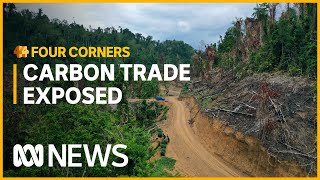 Is the carbon trade doing more harm than good?  | Four Corners