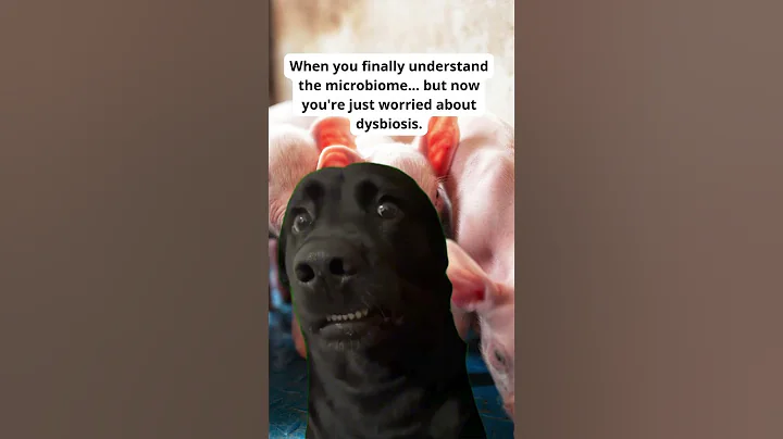 The road to understanding microbiomes is full of surprises!