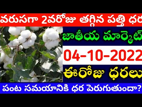 మార్కెట్లో పత్తి ధరలు 04-10-2022 Today cotton rate | cotton rate today