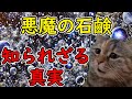 【猫ミーム】美肌石鹸が“悪魔の石鹸”に！？茶のしずく事件の全貌と炎上対応の真実