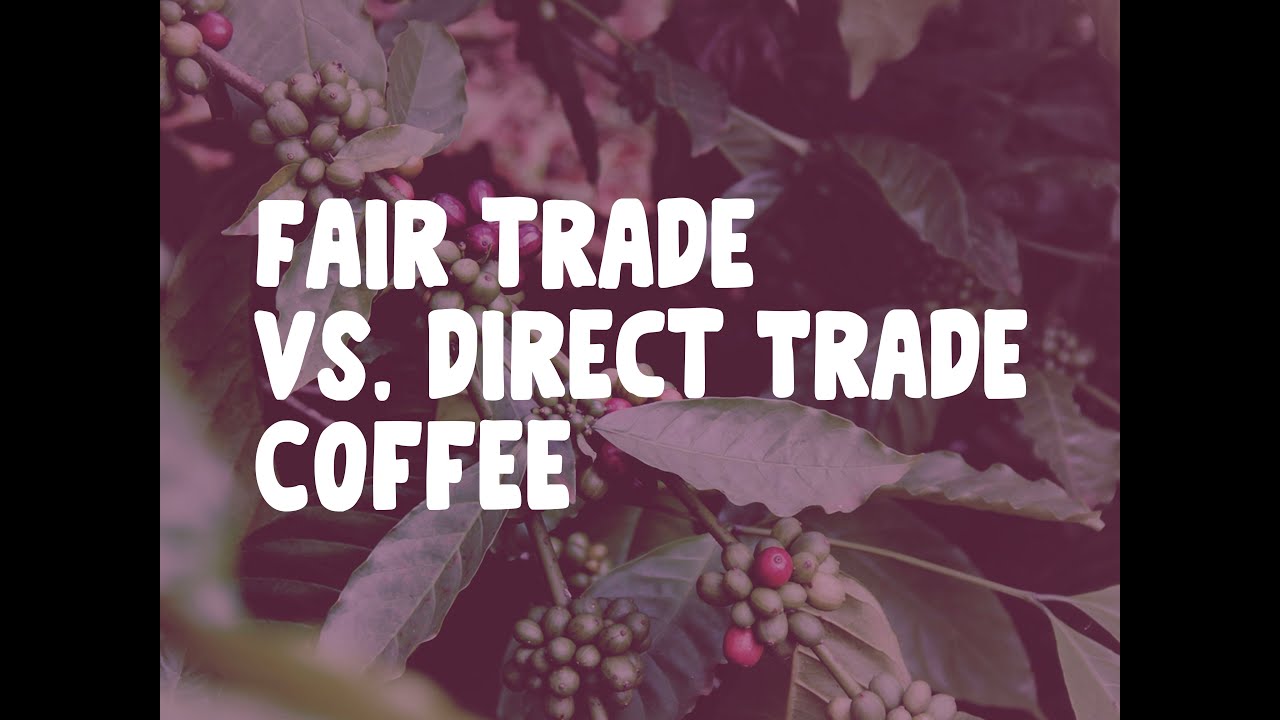 Fair Trade Versus Direct Trade Coffee YouTube fair-trade-versus-direct-trade-coffee-youtube