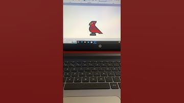 BIRD 🐦 MS Word Symbol Shortcut Key #shorts #bird #computer #tipsandtricks