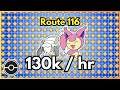 Easy Money in PokeMMO: Beginner-Friendly Nincada &amp; Skitty Farming - PokeMMO Money Making Method