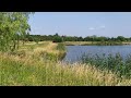 Буферный парк - один из 5 парков Царского Села. Зеленые районы Питера | июль 2021