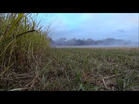 2 Shots of Tannerite type exploding targets