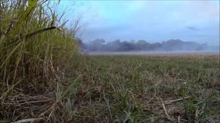 2 Shots of Tannerite type exploding targets